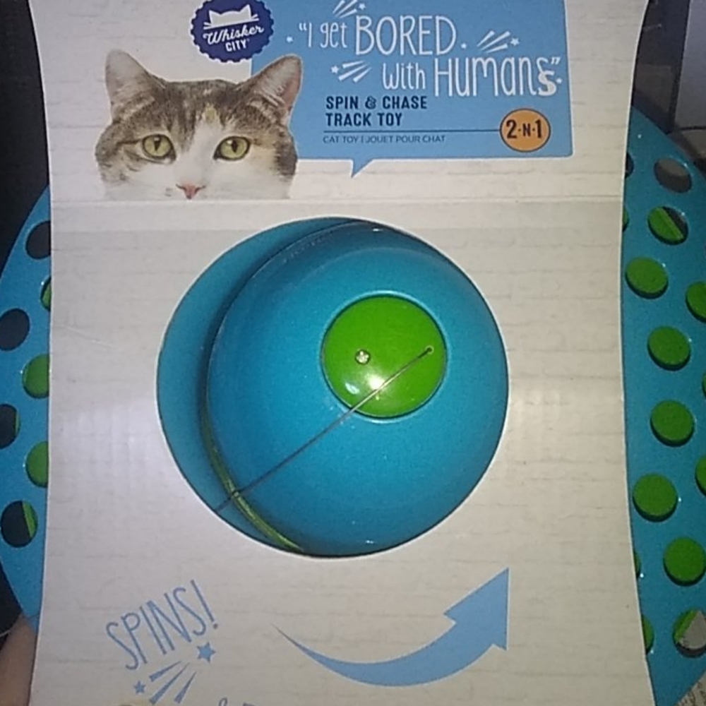 Spin and chase track toy